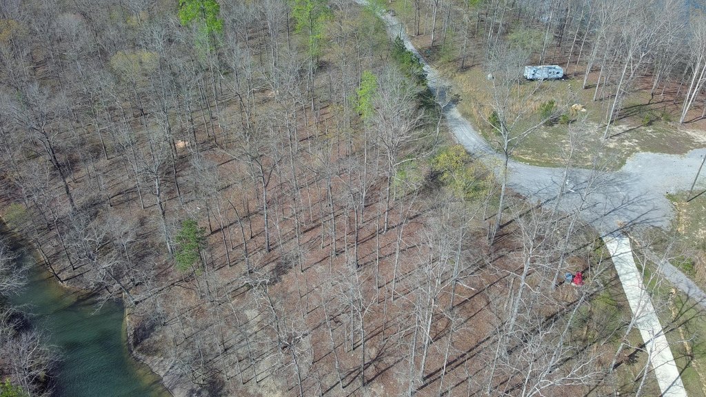 Picture 5
