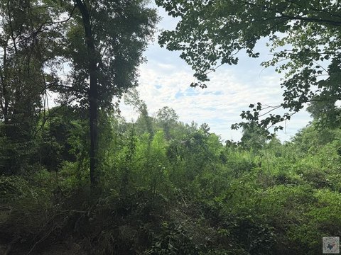 LAND - Texarkana, AR