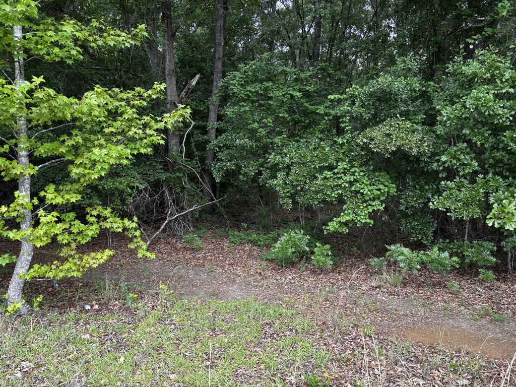 Picture 7