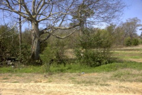Commercial Land in Sumter, SC