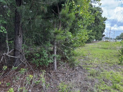 Commercial Land in Sumter, SC