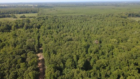 Recreational Land Tract with Creek