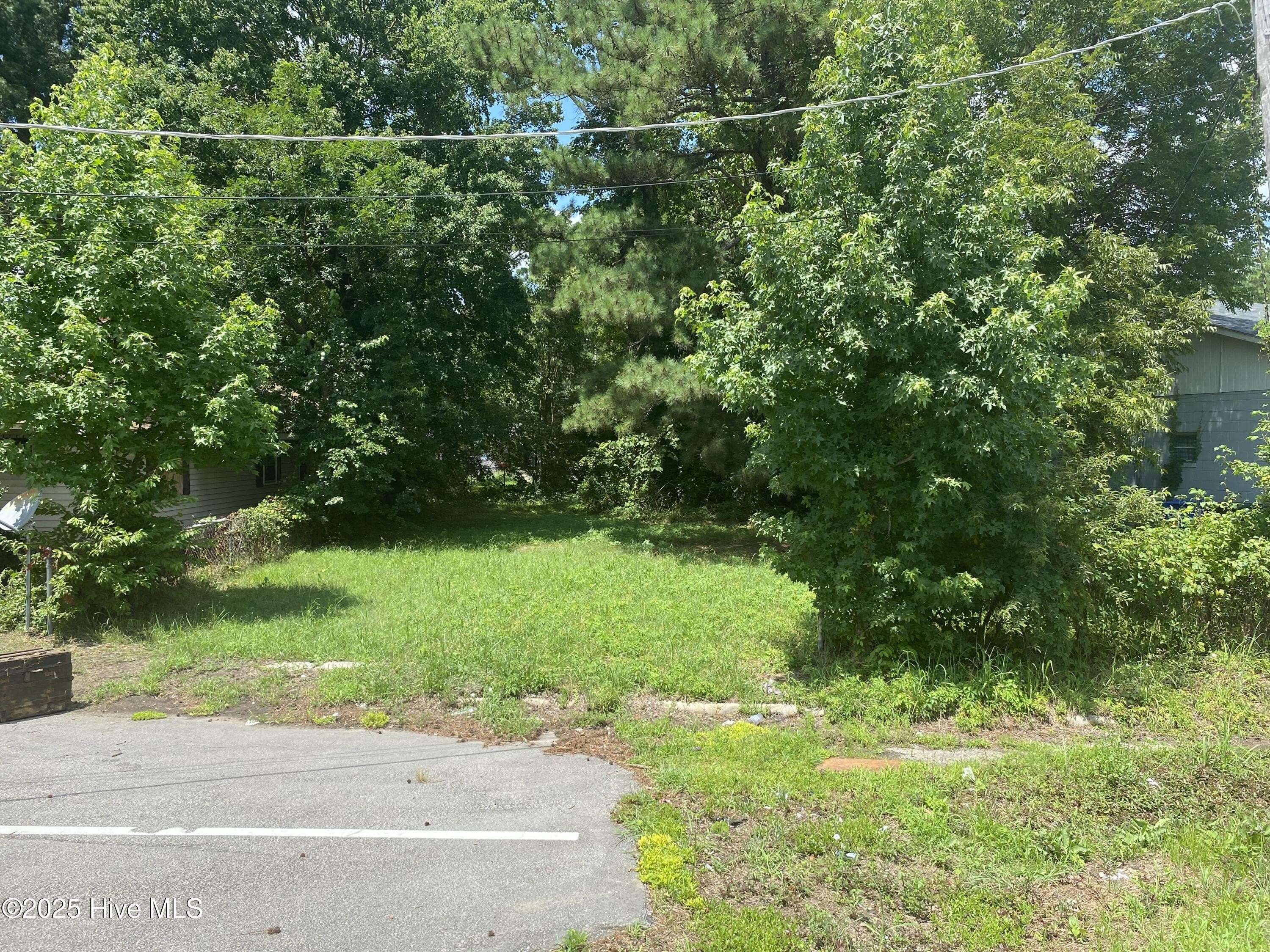 Vacant Lot Near Mudcats Stadium