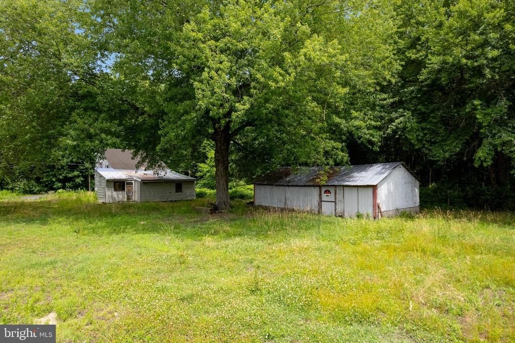 Picture 25
