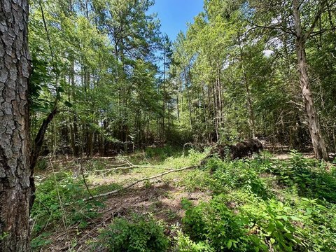 LAND - Diboll, TX