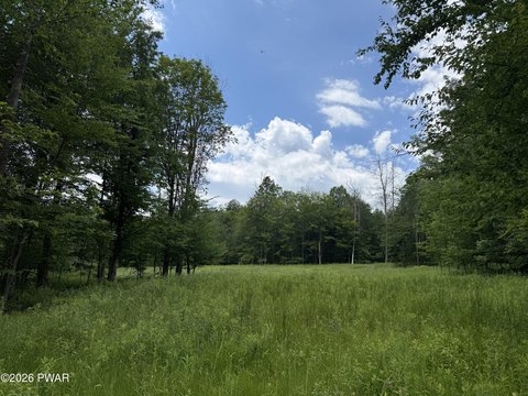 Cleared Land in Duck Harbor