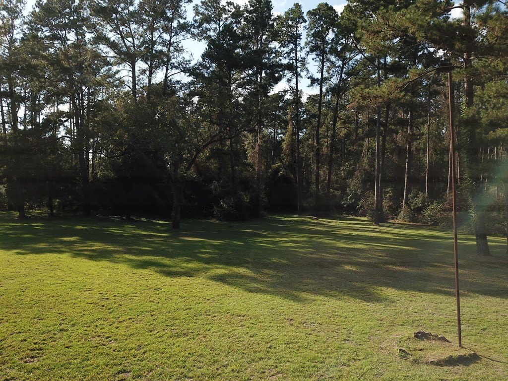 Picture 19