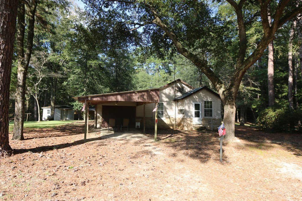 Picture 4