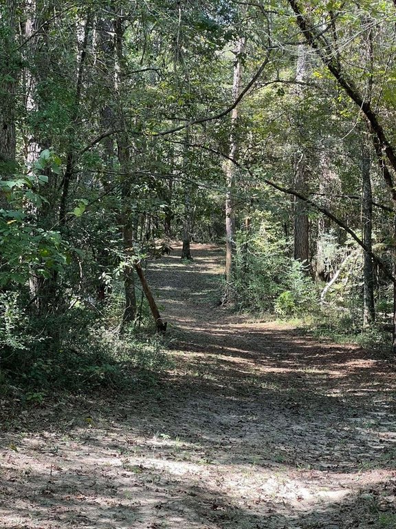 Picture 28