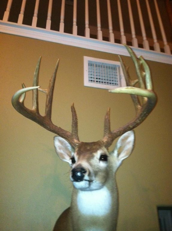 Picture 41