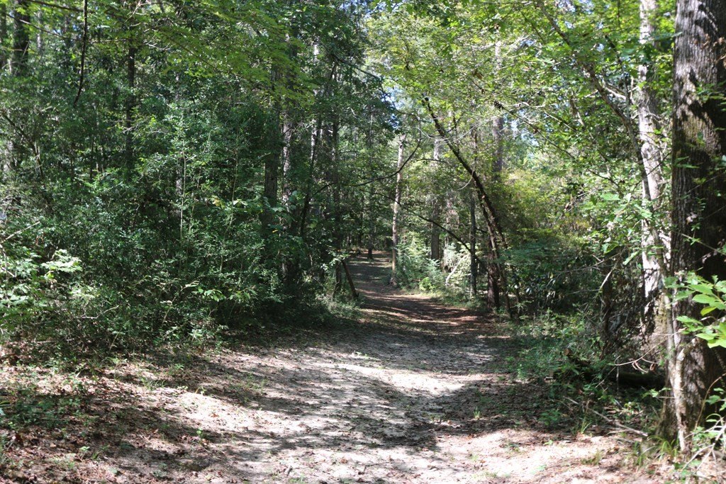Picture 30