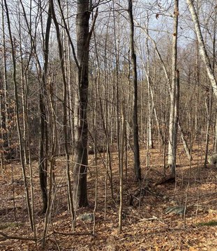 3-Bedroom Wastewater-Approved Building Lot
