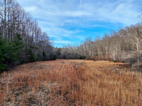 Secluded Acreage with Creek Frontage
