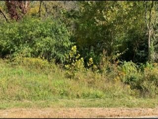 Residential Land in Cookeville, TN