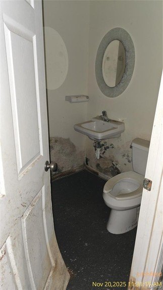 Picture 36