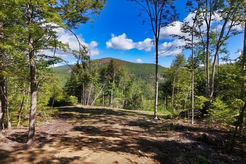 Scenic Mountain View Homesite