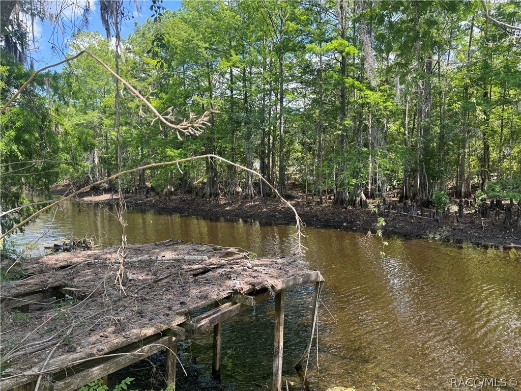Waterfront Land in Floral City