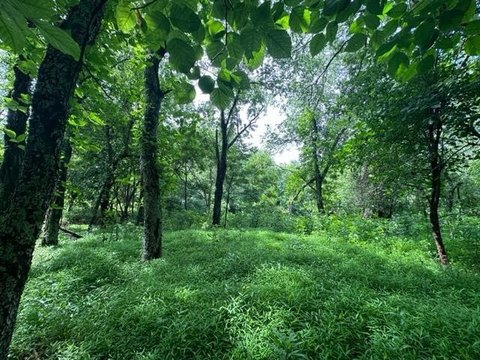 Independence, VA Land For Sale
