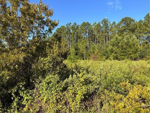 Residential Land in Horseshoe Cove