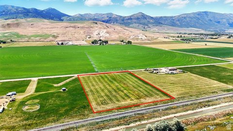 Irrigated Farmland Homesite