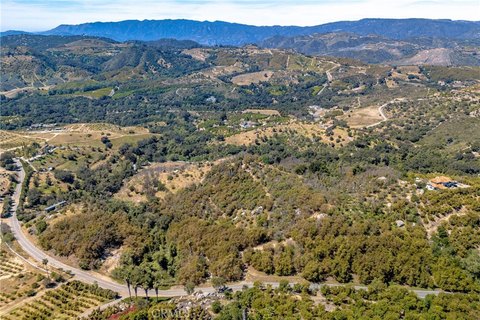 Temecula Estate Site with Avocados