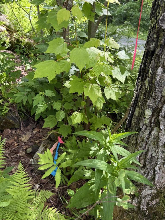 Picture 29