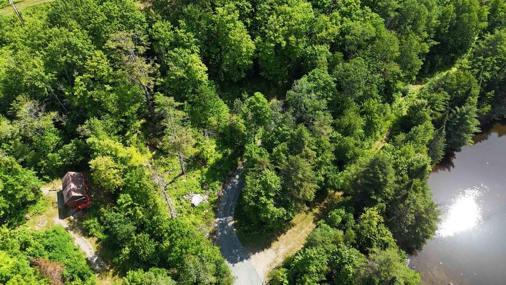 Picture 8