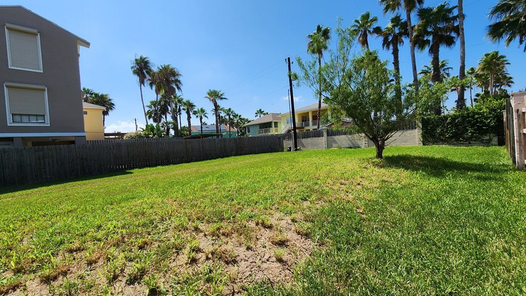 Picture 6