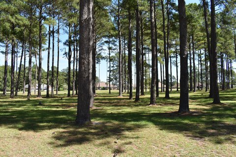Land on Golf Course
