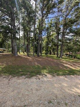 Lots & Land, UNION SPRINGS, AL