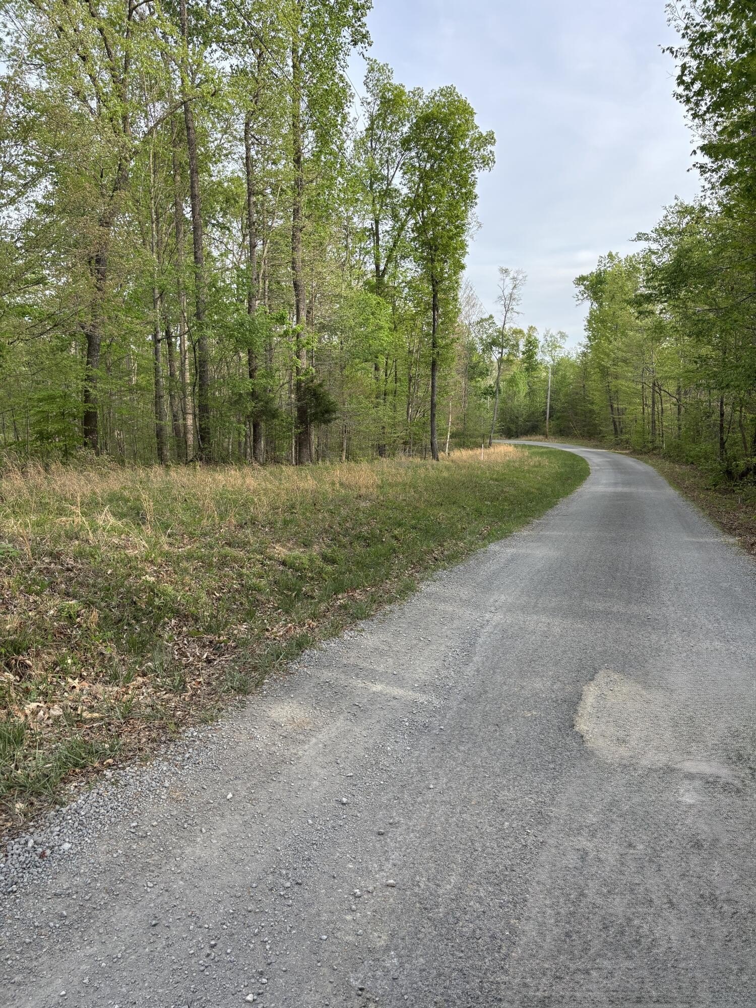 Wooded Land Near Wolf Creek
