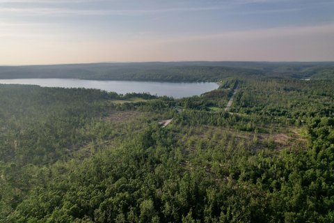LAND - Vanderbilt, MI