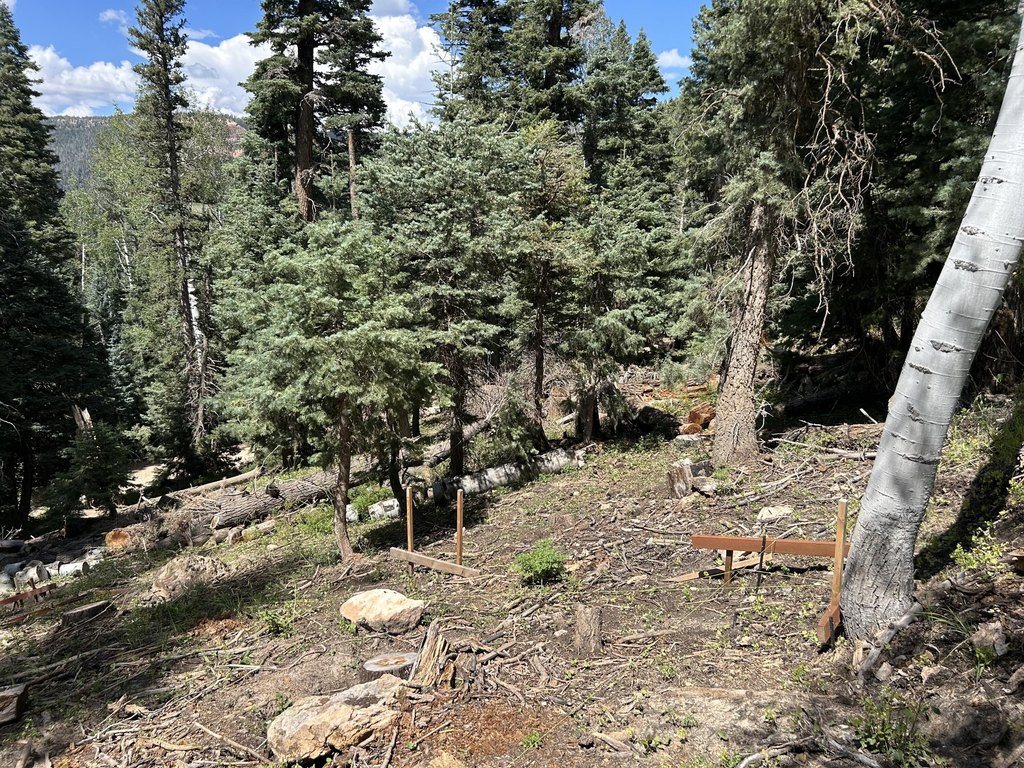 Picture 6