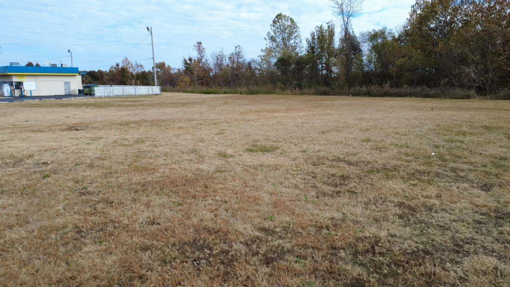 Picture 14