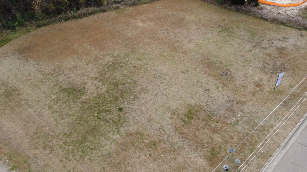 Picture 11
