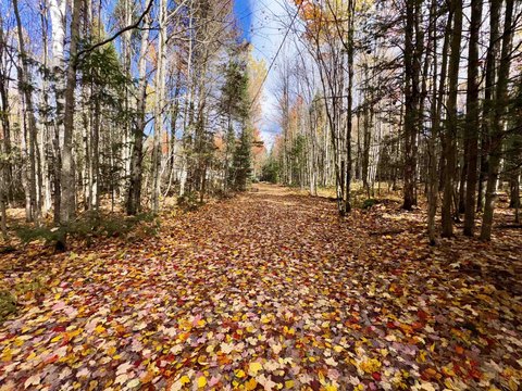 Land, Stewartstown, NH