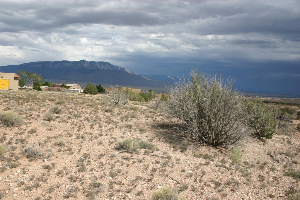 Picture 8