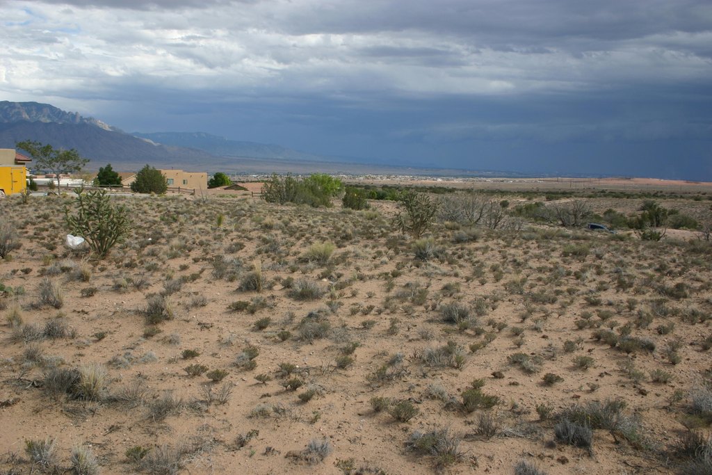 Picture 9