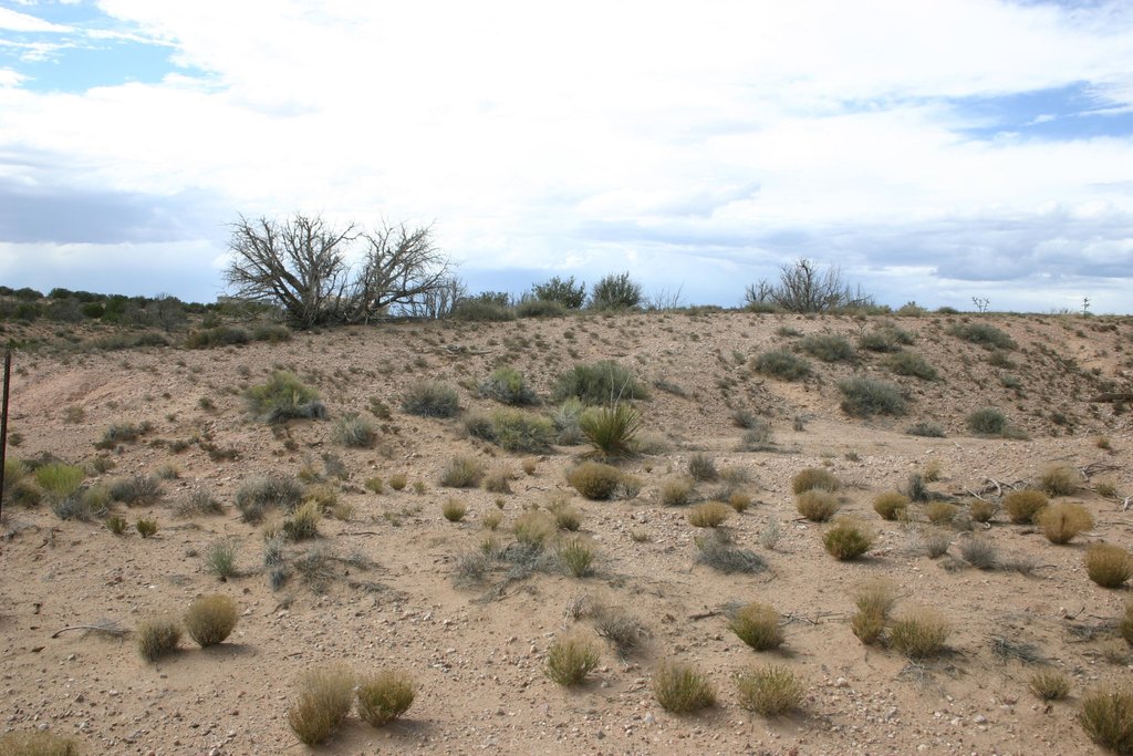 Picture 12