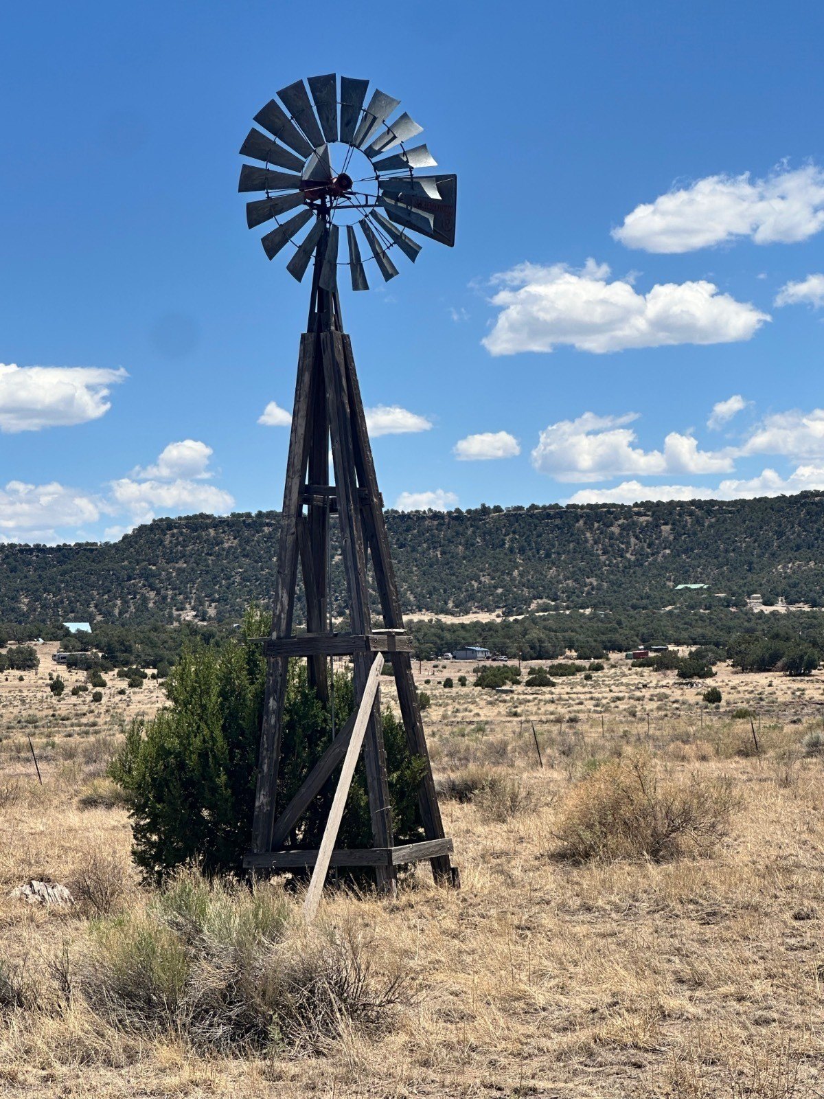 10 Acres of New Mexico Land