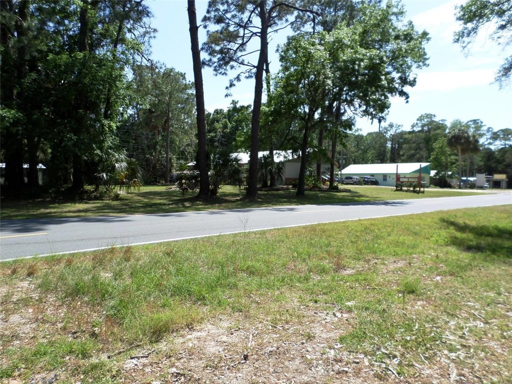Picture 41