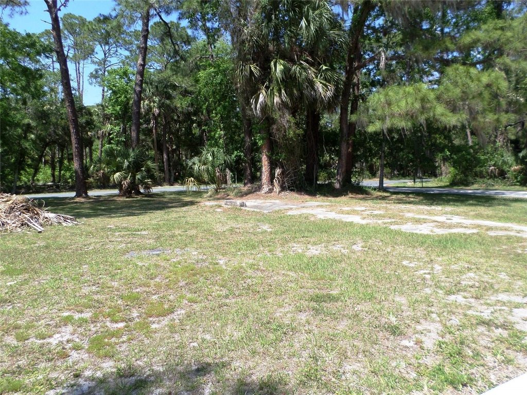 Picture 35