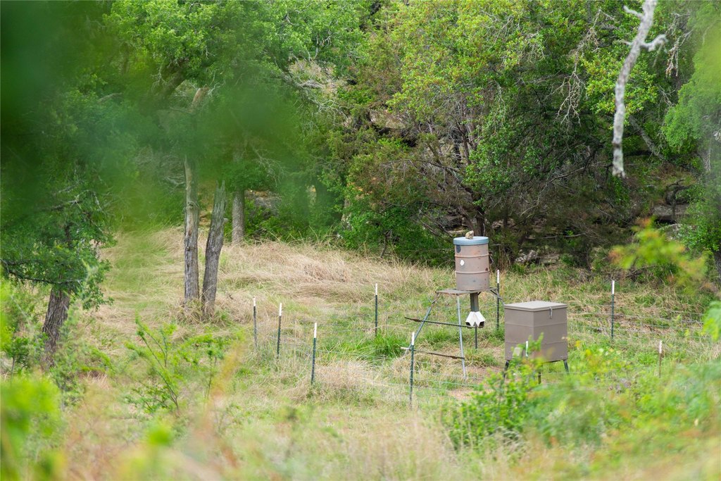 Picture 31
