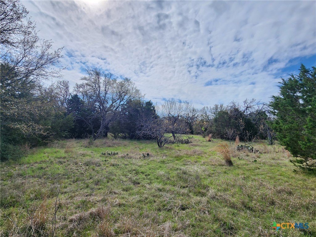 Picture 4