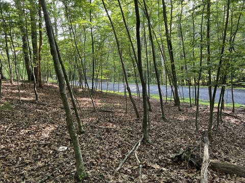 LAND - East Stroudsburg, PA