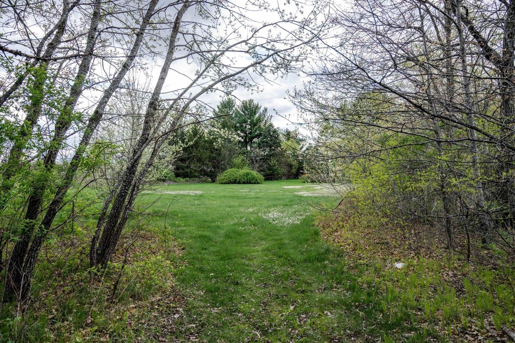Picture 7