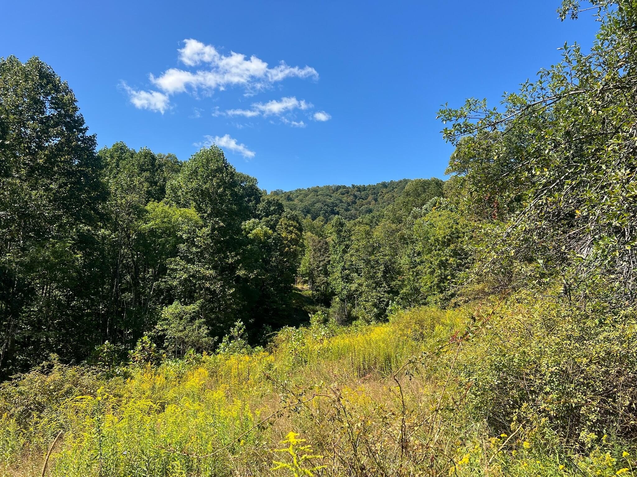 265 Acres of Private Paradise