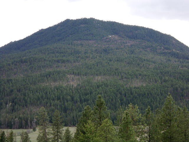 Picture 25