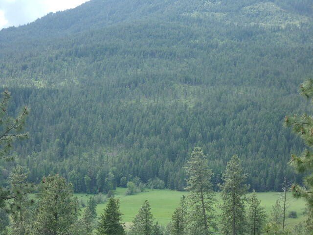 Picture 20