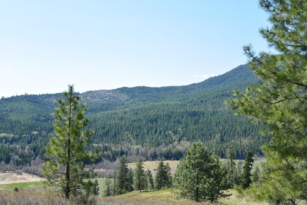 Picture 7